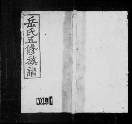 湖南岳氏族谱-岳氏五修族谱 [29卷,首4卷].pdf电子版预览图1