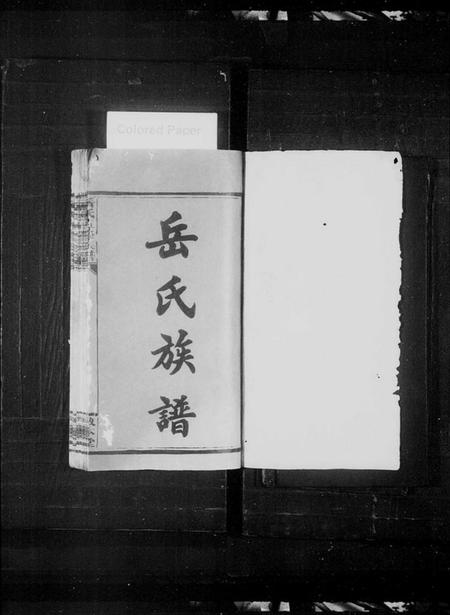 湖南岳氏族谱-岳氏五修族谱 [29卷,首4卷].pdf电子版预览图2