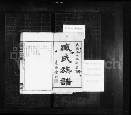 湖南臧氏族谱-臧氏族谱 [29卷,首1卷].pdf电子版预览图1