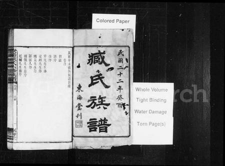湖南臧氏族谱-臧氏族谱 [29卷,首1卷].pdf电子版预览图2