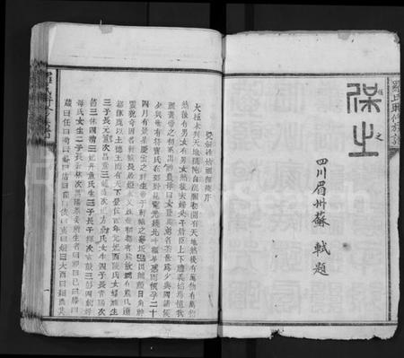 江西罗氏族谱-罗氏联修族谱 [不分卷].pdf电子版预览图3