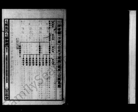 湖南张氏族谱-七帐张氏七修族谱 [8卷,首5卷,末1卷].pdf电子版预览图3