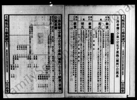 湖南张氏族谱-七帐张氏七修族谱 [8卷,首5卷,末1卷].pdf电子版预览图4