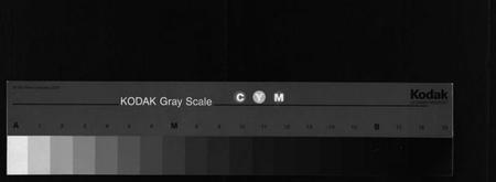 湖南张氏族谱-上湘赫门楼张氏四修族谱 [9卷,首1卷].pdf电子版缩略图