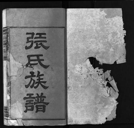 湖南张氏族谱-上湘赫门楼张氏四修族谱 [9卷,首1卷].pdf电子版预览图2