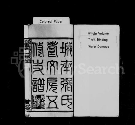 湖南张氏族谱-城南张氏寿文房五修支谱 [16卷].pdf电子版预览图2