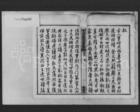 湖南张氏族谱-大湖张姓四修族谱 [10卷,首1卷].pdf电子版预览图3