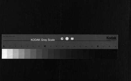 湖南张氏族谱-张氏三修族谱 [6卷,首末各1卷].pdf电子版缩略图