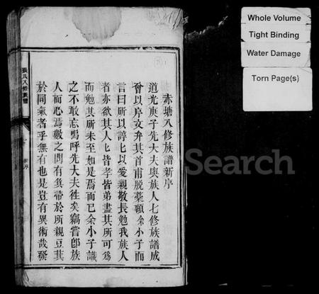 湖南张氏族谱-张氏八修族谱 [10卷].pdf电子版预览图3