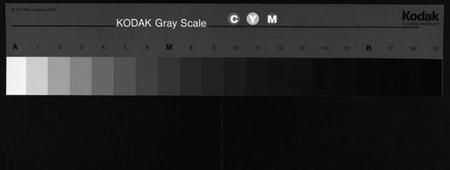 湖南张氏族谱-张氏六修支谱[8卷,首1卷,末1卷].pdf电子版缩略图