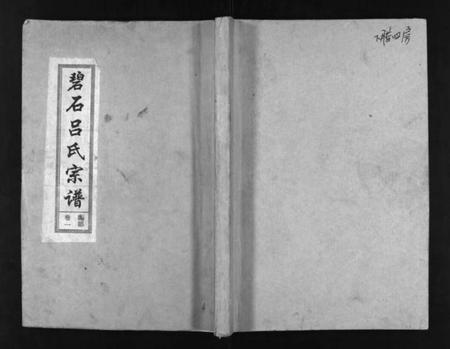 江西吕氏族谱-碧石吕氏宗谱 [10卷].pdf电子版预览图1