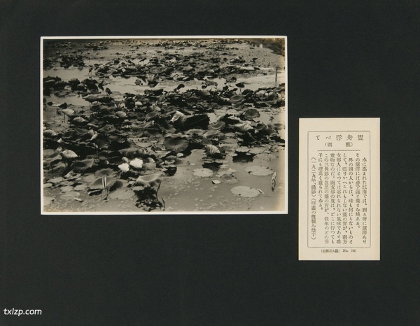 1929年安徽芜湖美丽风光照（中）预览图8