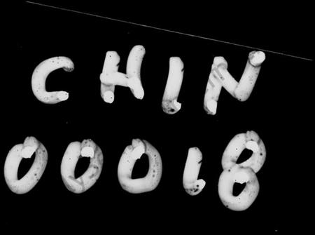 湖南张氏族谱-张氏家谱 [5卷,首1卷].pdf电子版预览图1