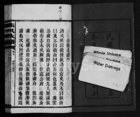 湖南张氏族谱-张氏庆云公房支谱 [36卷,含首1卷].pdf电子版预览图4