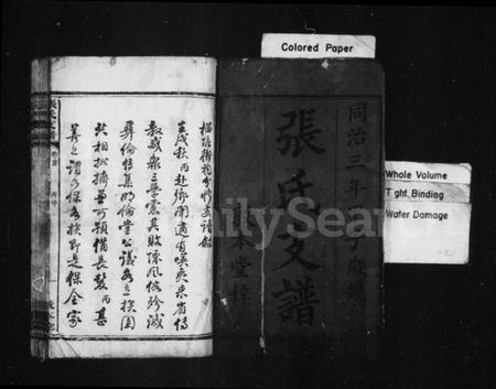 湖南张氏族谱-张氏支谱 [5卷,首1卷].pdf电子版预览图2