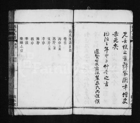 湖南张氏族谱-张氏支谱 [5卷,首1卷].pdf电子版预览图5