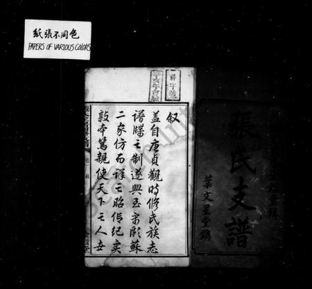 湖南张氏族谱-张氏支谱 [5卷].pdf电子版预览图2