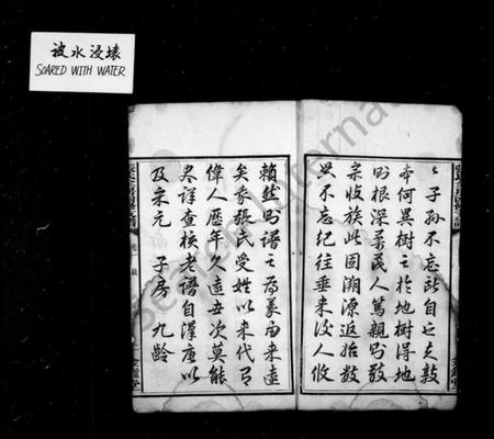 湖南张氏族谱-张氏支谱 [5卷].pdf电子版预览图3