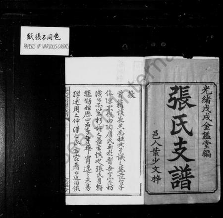 湖南张氏族谱-张氏支谱 [5卷].pdf电子版预览图1