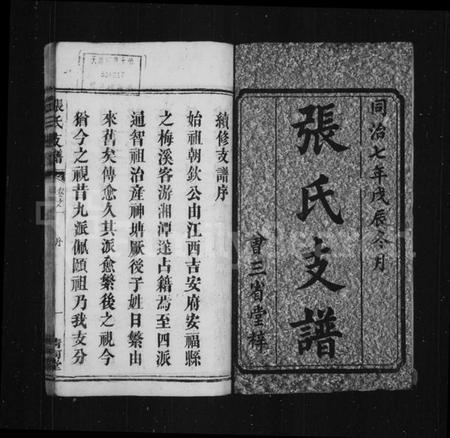 湖南张氏族谱-张氏支谱 [残卷].pdf电子版预览图3