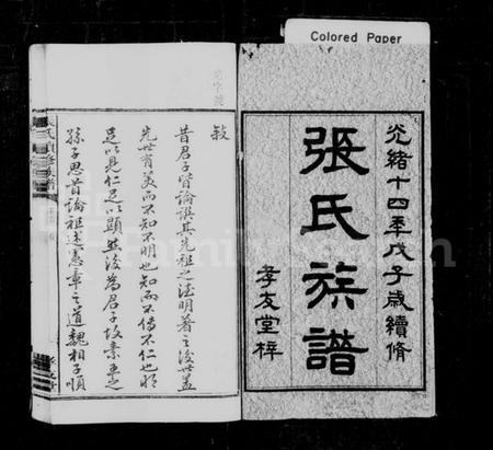 湖南张氏族谱-张氏族谱 [12卷,首1卷].pdf电子版预览图2