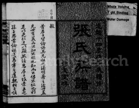 湖南张氏族谱-张氏族谱 [12卷,首1卷].pdf电子版预览图3