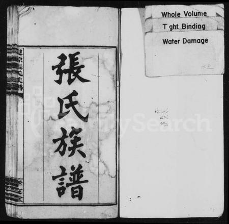 湖南张氏族谱-良源张氏族谱 [12卷].pdf电子版预览图2