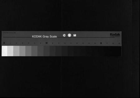 湖南张氏族谱-张氏族谱 [19卷,首1卷].pdf电子版缩略图