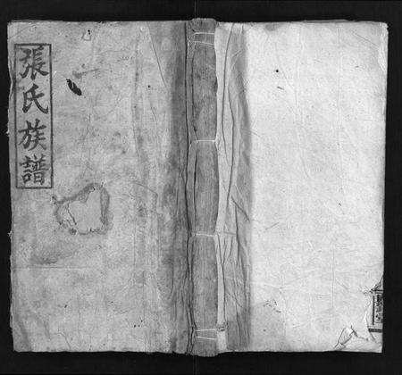 湖南张氏族谱-张氏族谱 [19卷,首1卷].pdf电子版预览图1