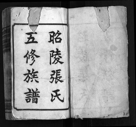 湖南张氏族谱-张氏族谱 [19卷,首1卷].pdf电子版预览图2