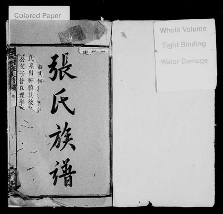 湖南张氏族谱-张氏族谱 [27卷].pdf电子版预览图2