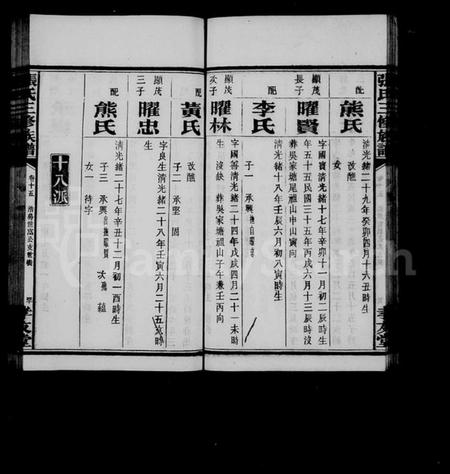 湖南张氏族谱-张氏族谱 [37卷,首1卷].pdf电子版预览图2