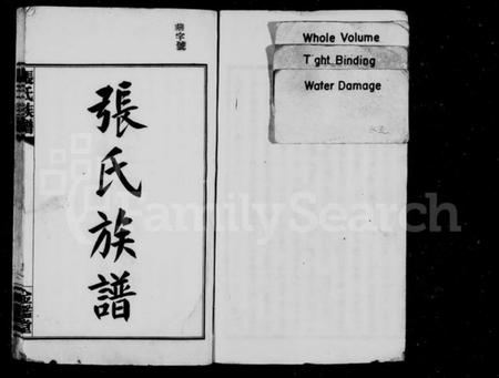 湖南张氏族谱-张氏族谱 [64卷,含卷首].pdf电子版预览图2