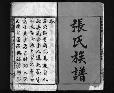 湖南张氏族谱-张氏族谱 [6卷,首3卷].pdf电子版预览图3