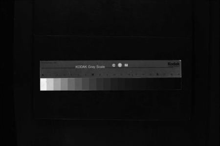 湖南张氏族谱-张氏族谱 [不分卷].pdf电子版缩略图