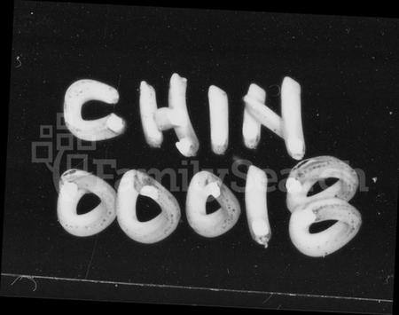 湖南张氏族谱-张氏族谱 [卷首,尾].pdf电子版预览图1