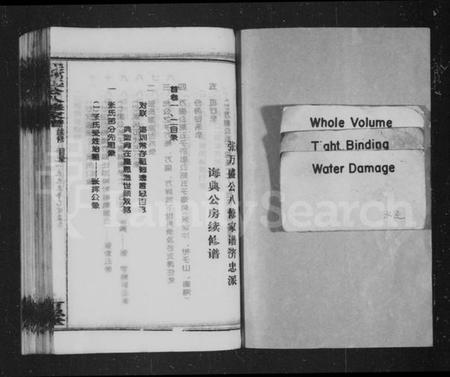 湖南张氏族谱-张万盛公家谱 [26卷].pdf电子版预览图2