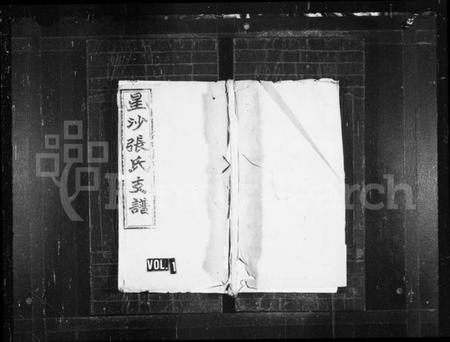 湖南张氏族谱-星洲张氏支谱 [3卷].pdf电子版预览图1