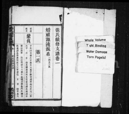 湖南张氏族谱-星洲张氏支谱 [3卷].pdf电子版预览图2