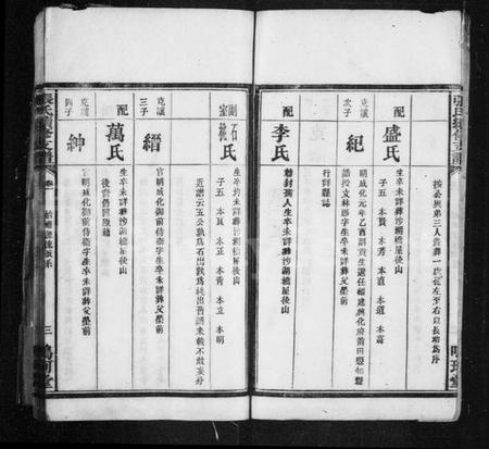 湖南张氏族谱-星洲张氏支谱 [3卷].pdf电子版预览图5