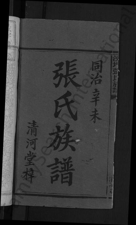 湖南张氏族谱-沙坪张氏族谱 [7卷,首2卷].pdf电子版预览图2