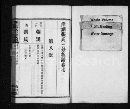 湖南张氏族谱-洋湖张氏三修族谱 [15卷含卷首,末1卷].pdf电子版预览图3