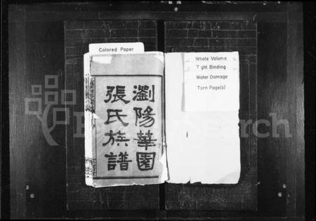 湖南张氏族谱-张氏族谱 [22卷,首1卷].pdf电子版预览图2