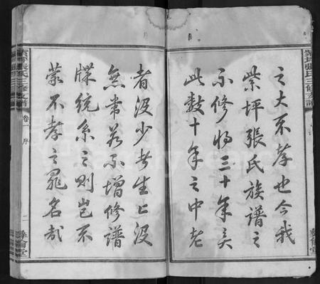 湖南张氏族谱-紫坪张氏三修支谱 [8卷].pdf电子版预览图2