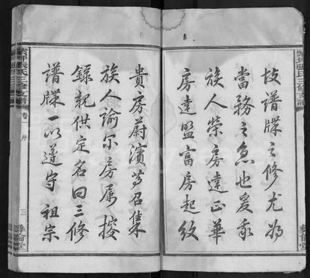 湖南张氏族谱-紫坪张氏三修支谱 [8卷].pdf电子版预览图3