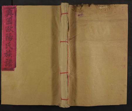 江西欧阳氏族谱-兴国欧阳氏九修族谱 [存21册].pdf电子版缩略图