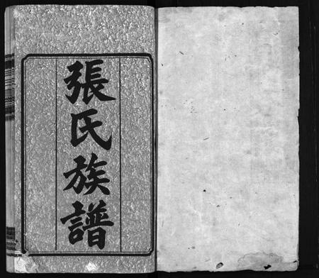 湖南张氏族谱-张氏三修族谱 [10卷].pdf电子版预览图2