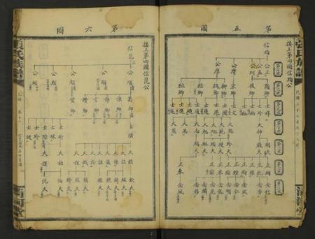 湖南张氏族谱-张氏通谱 [121册含13卷及卷附卷尾, 世系谱甲乙编卷].pdf电子版预览图2