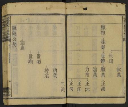 湖南张氏族谱-张氏族谱 [20卷].pdf电子版预览图2