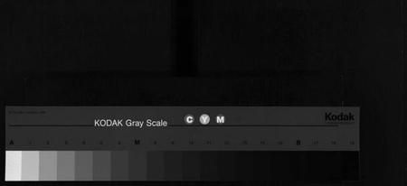 湖南张氏族谱-良源张氏支谱 [6卷,含首1卷].pdf电子版缩略图